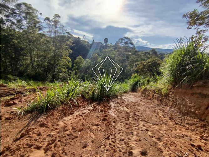 Lote en venta en El Carmin, Rionegro, 8750 m² · foto 2 de 22