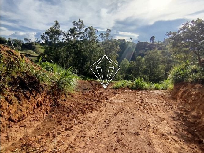 Lote en venta en El Carmin, Rionegro, 8750 m² · foto 8 de 22