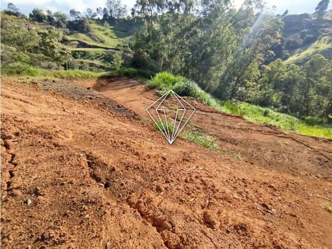 Lote en venta en El Carmin, Rionegro, 8750 m² · foto 9 de 22