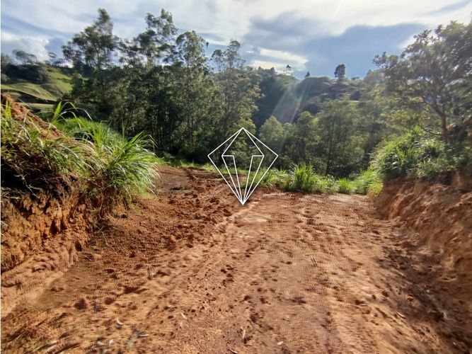 Lote en venta en El Carmin, Rionegro, 8750 m² · foto 13 de 22