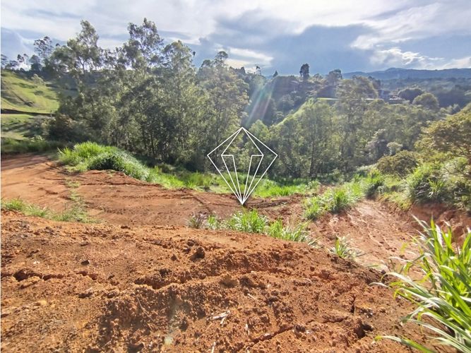 Lote en venta en El Carmin, Rionegro, 8750 m² · foto 15 de 22