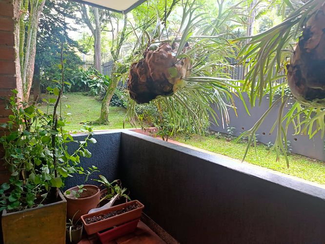Apartamento de 4 alcobas en arriendo en El Poblado, Medellín, 261 m² · foto 20 de 20