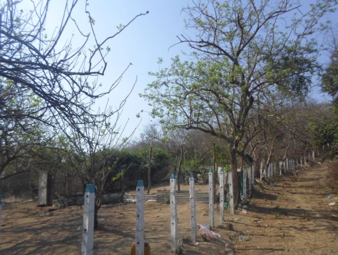 Lote en venta en Barranquilla, 41259 m² · foto 11 de 19