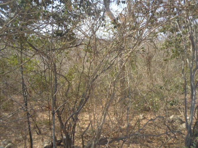 Lote en venta en Barranquilla, 41259 m² · foto 12 de 19