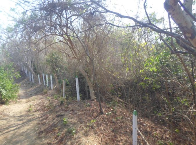 Lote en venta en Barranquilla, 41259 m² · foto 13 de 19