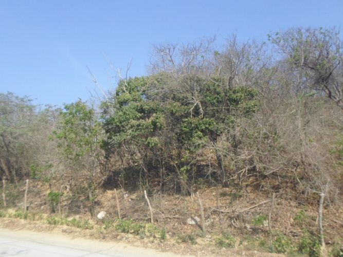 Lote en venta en Barranquilla, 41259 m² · foto 17 de 19