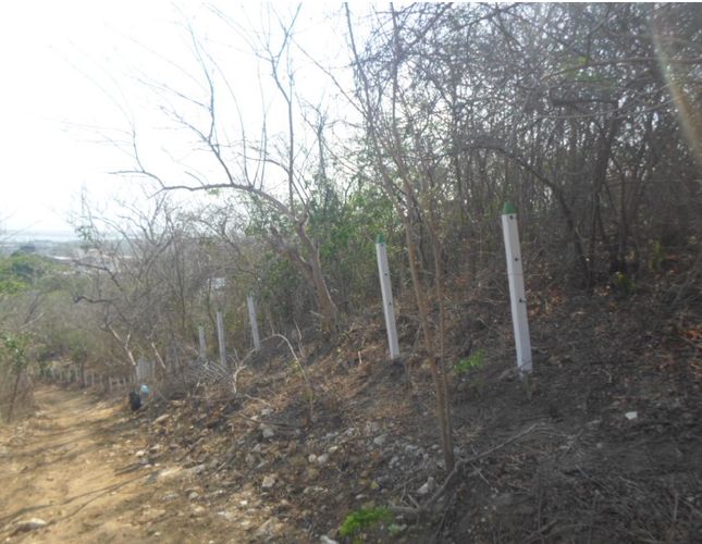 Lote en venta en Barranquilla, 41259 m² · foto 19 de 19