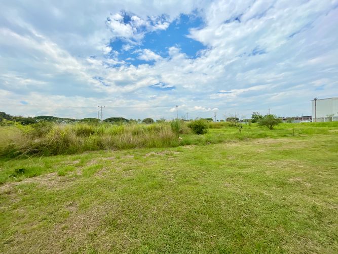 Lote en venta en Palmaseca, Palmira, 3000 m² · foto 3 de 7