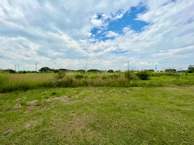 Lote en venta en Palmaseca, Palmira, 3000 m² · foto 4 de 7