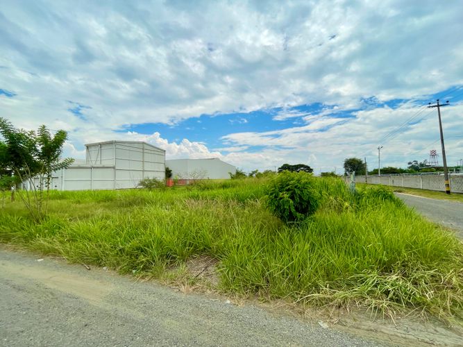 Lote en venta en Palmaseca, Palmira, 3000 m² · foto 5 de 7