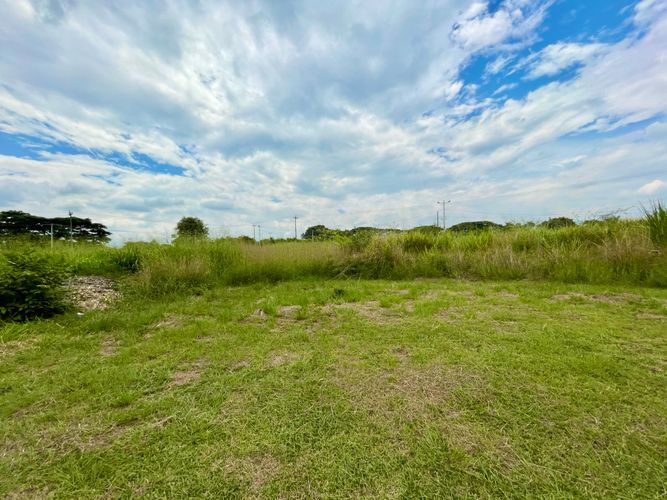 Lote en venta en Palmaseca, Palmira, 3000 m² · foto 6 de 7