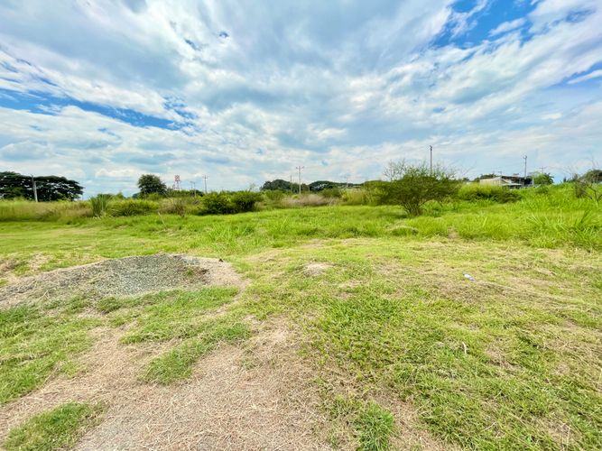 Lote en venta en Palmaseca, Palmira, 3000 m² · foto 7 de 7