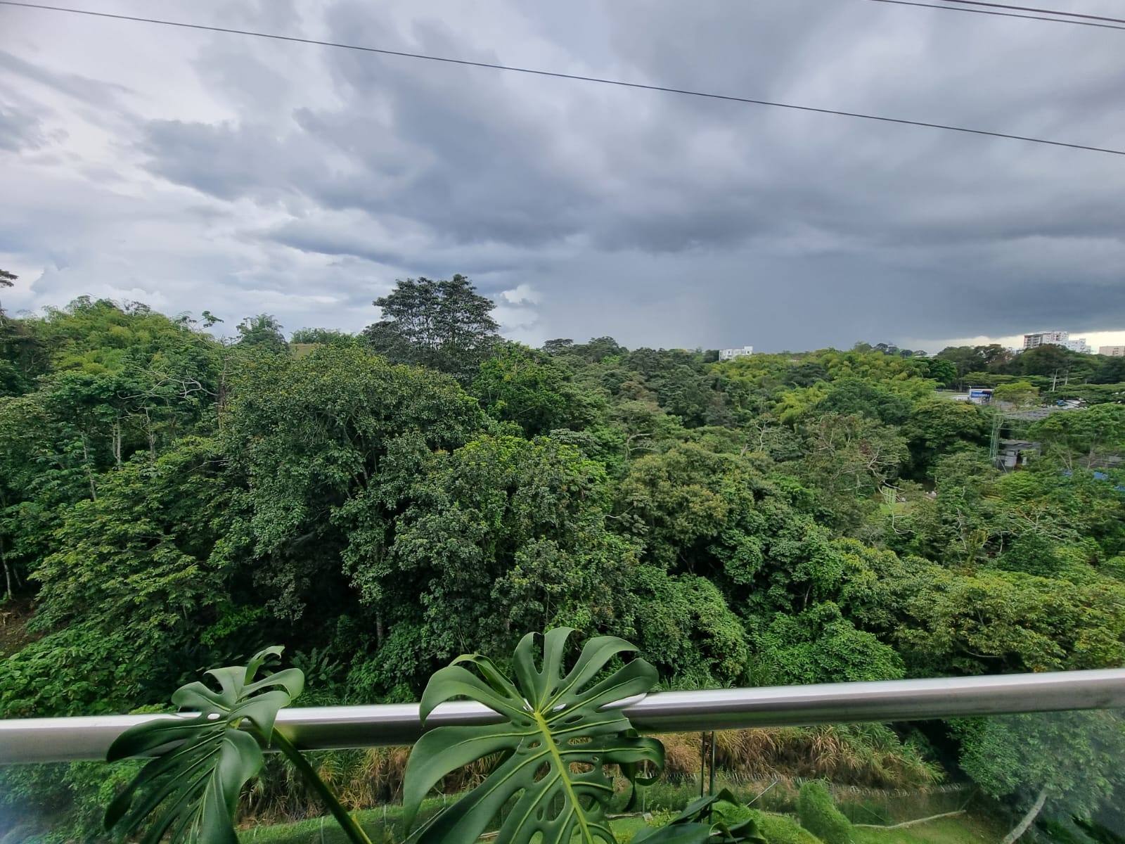 Apartamento en venta en La Julita, Pereira · foto 4 de 24