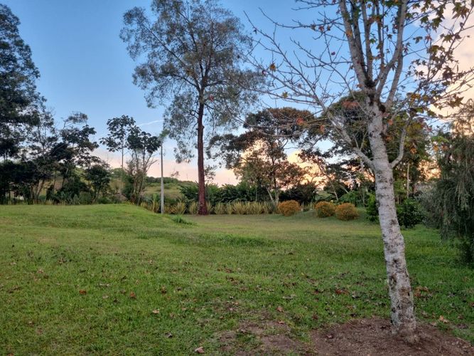 Lote en venta en El Tambo, La Ceja, 2560 m² · foto 4 de 4