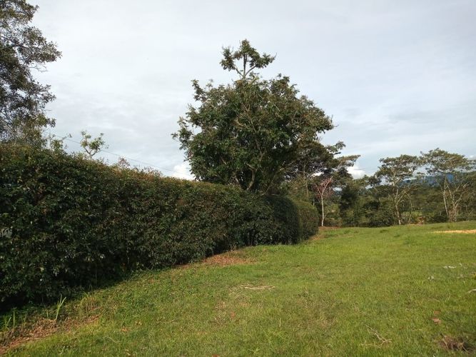 Lote en venta en El Tablazo, Rionegro, 4692 m² · foto 2 de 17