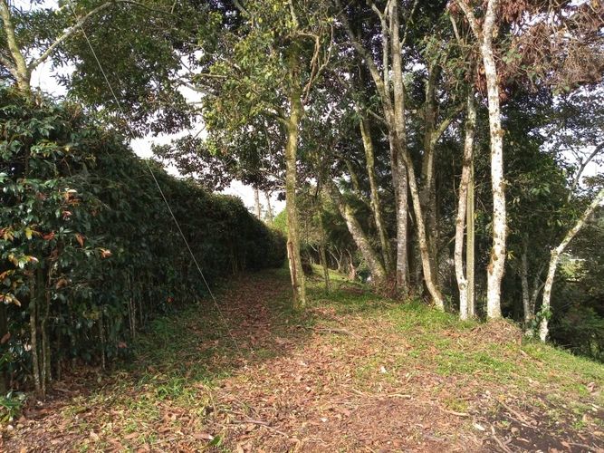 Lote en venta en El Tablazo, Rionegro, 4692 m² · foto 3 de 17
