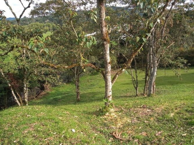 Lote en venta en El Tablazo, Rionegro, 4692 m² · foto 4 de 17