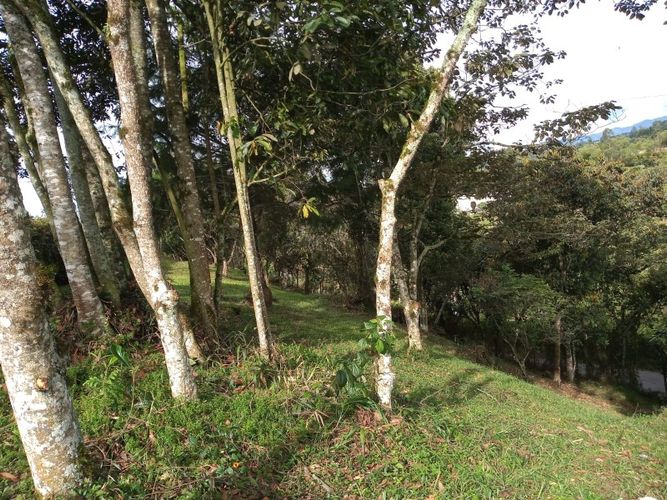 Lote en venta en El Tablazo, Rionegro, 4692 m² · foto 5 de 17
