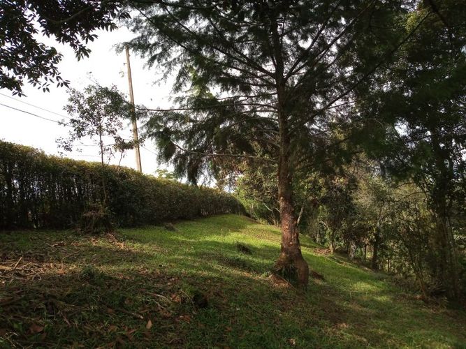 Lote en venta en El Tablazo, Rionegro, 4692 m² · foto 6 de 17