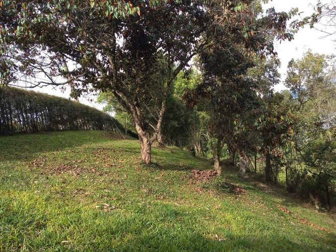 Lote en venta en El Tablazo, Rionegro, 4692 m² · foto 7 de 17