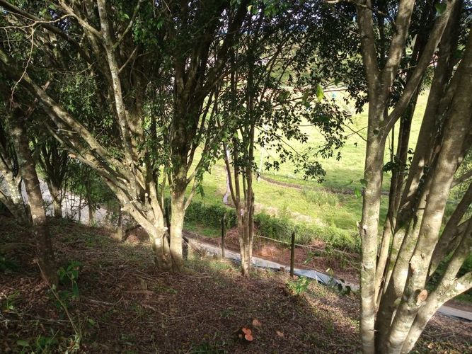Lote en venta en El Tablazo, Rionegro, 4692 m² · foto 9 de 17