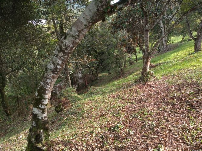 Lote en venta en El Tablazo, Rionegro, 4692 m² · foto 10 de 17