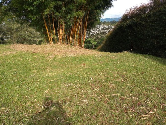 Lote en venta en El Tablazo, Rionegro, 4692 m² · foto 13 de 17