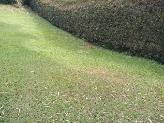 Lote en venta en El Tablazo, Rionegro, 4692 m² · foto 16 de 17