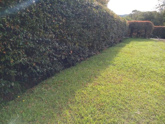 Lote en venta en El Tablazo, Rionegro, 4692 m² · foto 17 de 17
