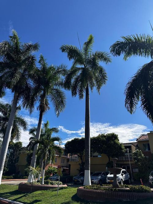 Casa de 3 alcobas en venta en Conjunto Residencial Versalles Ii, Floridablanca, 134 m² · foto 12 de 17