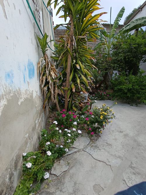 Casa en venta en Los Andes, Barranquilla, 360 m² · foto 6 de 9