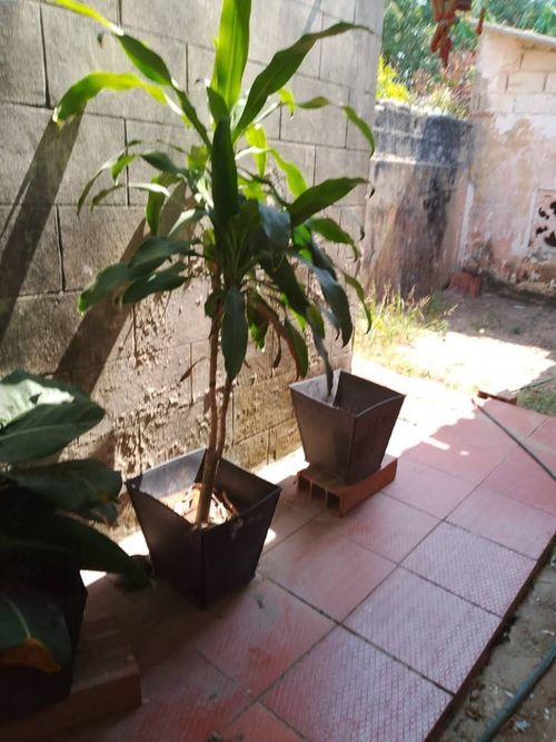 Casa de 4 alcobas en venta en Hipodromo, Soledad, 306 m² · foto 7 de 20