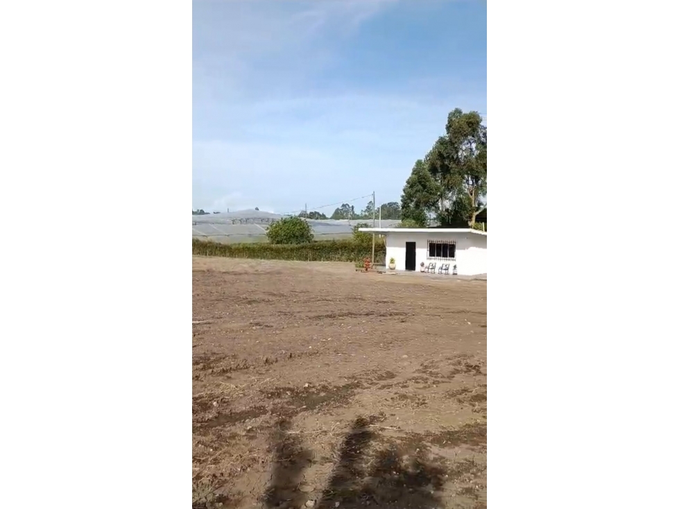 -1BR Apartment in El porvenir (5400 m²) - 3