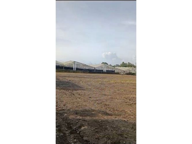 Apartaestudio en arriendo en El Porvenir, Rionegro · foto 6 de 7