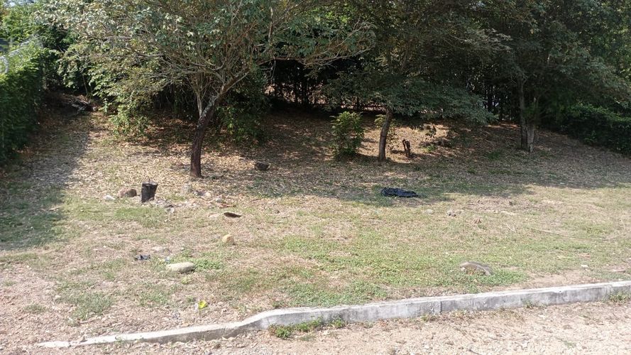 Lote en venta en Limoncitos, Ricaurte, 420 m² · foto 2 de 5