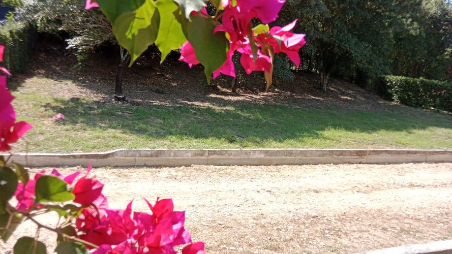 Lote en venta en Limoncitos, Ricaurte, 420 m² · foto 3 de 5