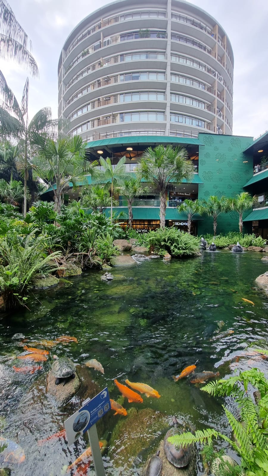 Retail space for rent in Villa centro, Villavicencio