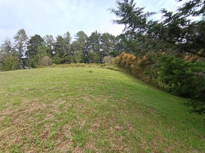 -1BR Land in Pantanillo (3098 m²) for Sale - 2