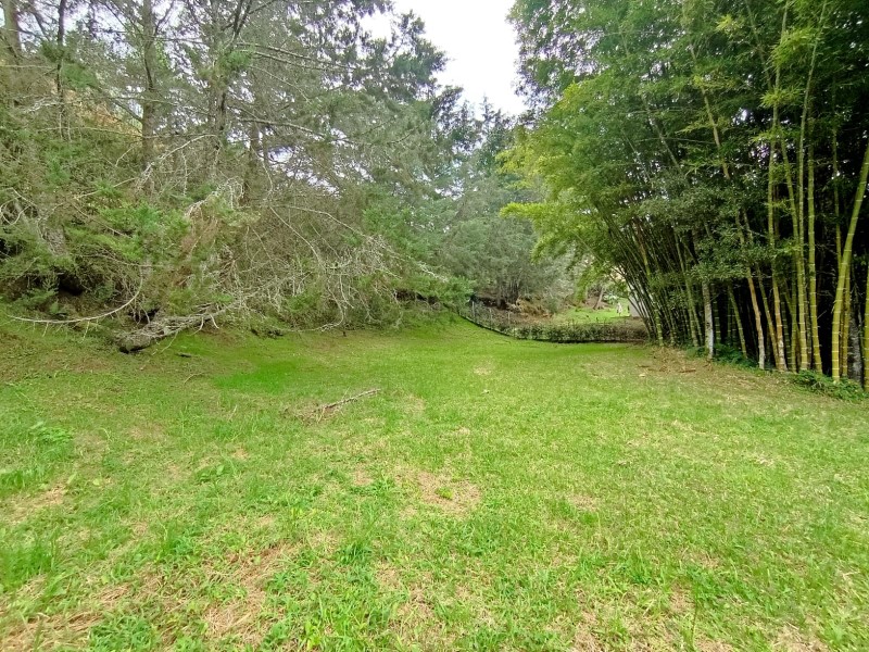 -1BR Land in Pantanillo (3098 m²) for Sale - 3