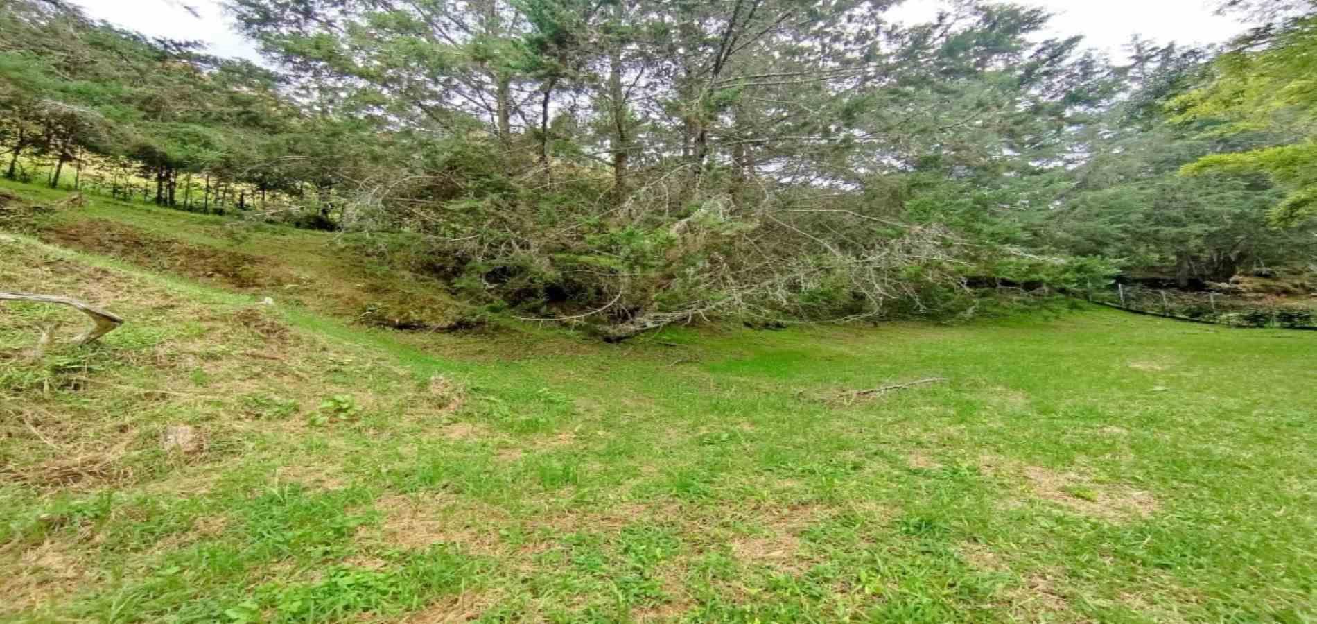 -1BR Land in Pantanillo (3098 m²) for Sale - 4