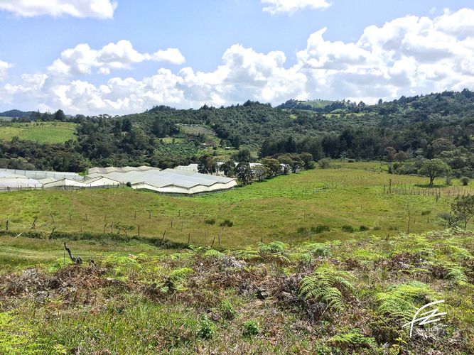 Lote en venta en Guarne, 7 m² · foto 2 de 11