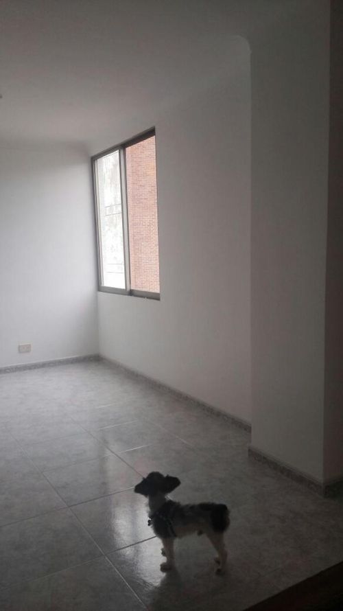 Apartamento de 3 alcobas en venta en El Ingenio, Cali, 120 m² · foto 18 de 24