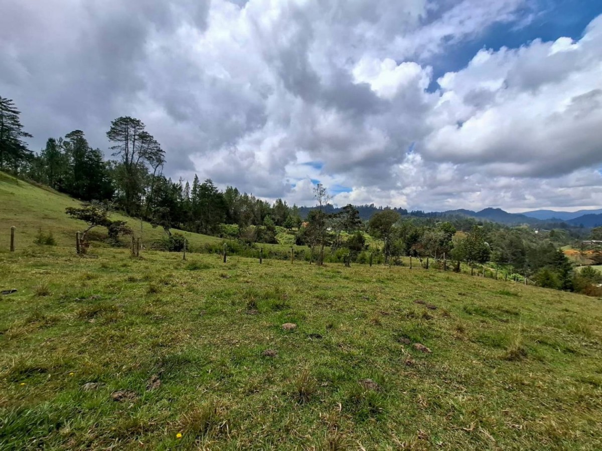 -1BR Land in El portento for Sale - 2