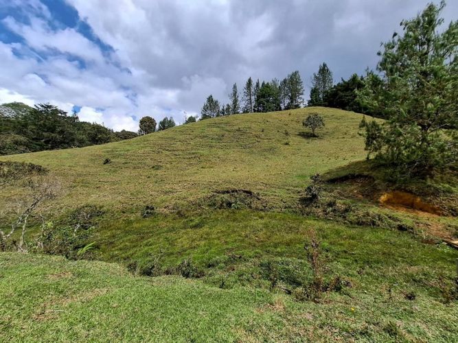 Lote en venta en El Portento, El Retiro, 50074 m² · foto 7 de 17