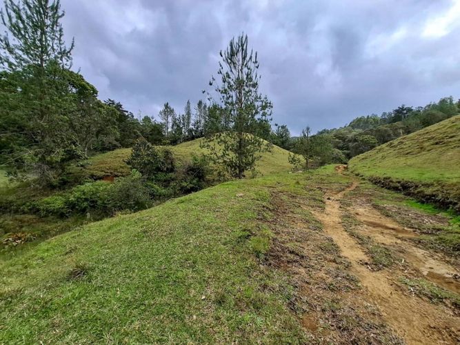 Lote en venta en El Portento, El Retiro, 50074 m² · foto 9 de 17