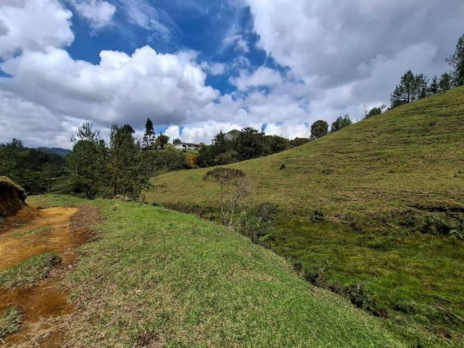 Lote en venta en El Portento, El Retiro, 50074 m² · foto 10 de 17