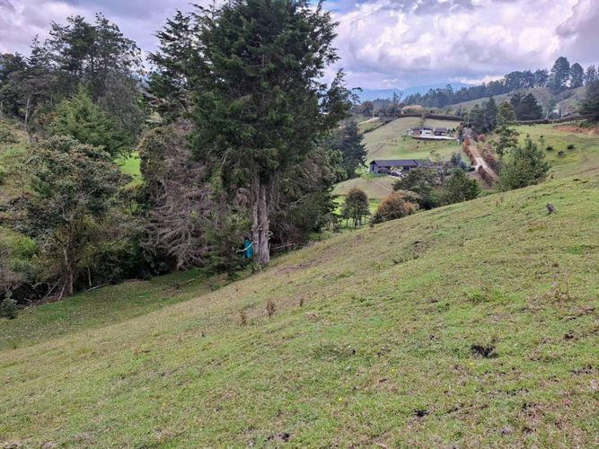 Lote en venta en El Portento, El Retiro, 50074 m² · foto 15 de 17