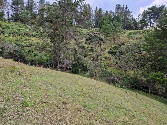 Lote en venta en El Portento, El Retiro, 50074 m² · foto 16 de 17
