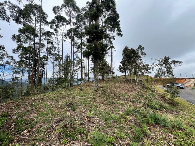 Lote en venta en Los Salados, El Retiro, 2472 m² · foto 2 de 23