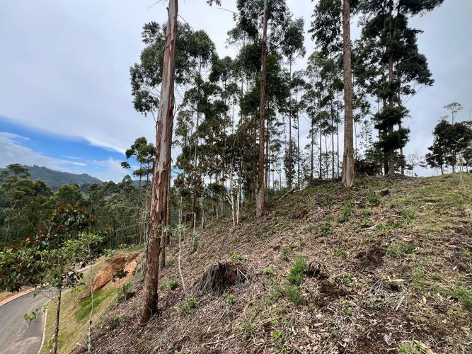 Lote en venta en Los Salados, El Retiro, 2472 m² · foto 3 de 23